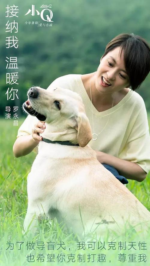 哪里能办理日本静冈文化艺术大学文凭毕业证